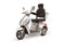 EWheels EW-36 Elite Mobility Scooter with Electric Brake Assist